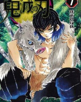 Demon Slayer Kimetsu no Yaiba Vol.7 Jump Comic Japan Book JAPANESE  | eBay