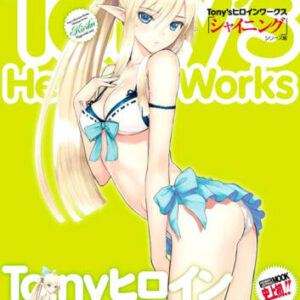 DHL Tony’s Heroine Works Shining Series T2 Taka Figure Collection Art Book Japan