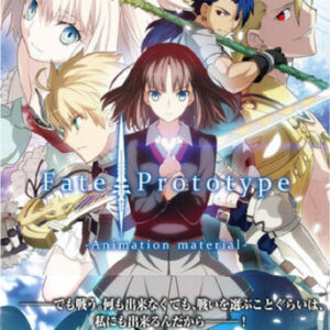 DHL Fate/Prototype Animation Material Art Book TYPE-MOON Anime stay night Series