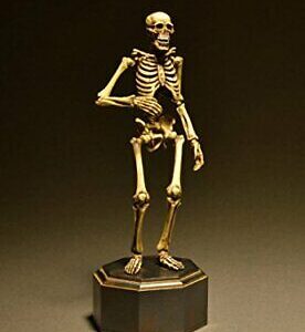 KT Project KT-006 [Takeya Freely Figure] Skeleton Color Edition NEW from Japan