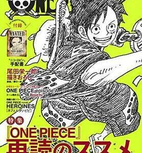 One Piece Magazine Vol.10 Special Feature Recommended Rereading Anime Japan Book